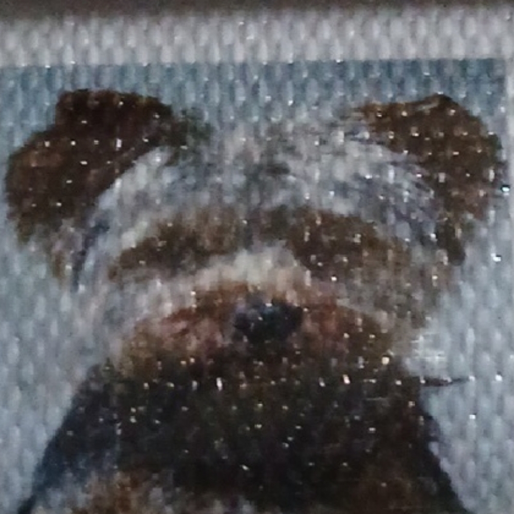 Dog Diamond Painting Kit